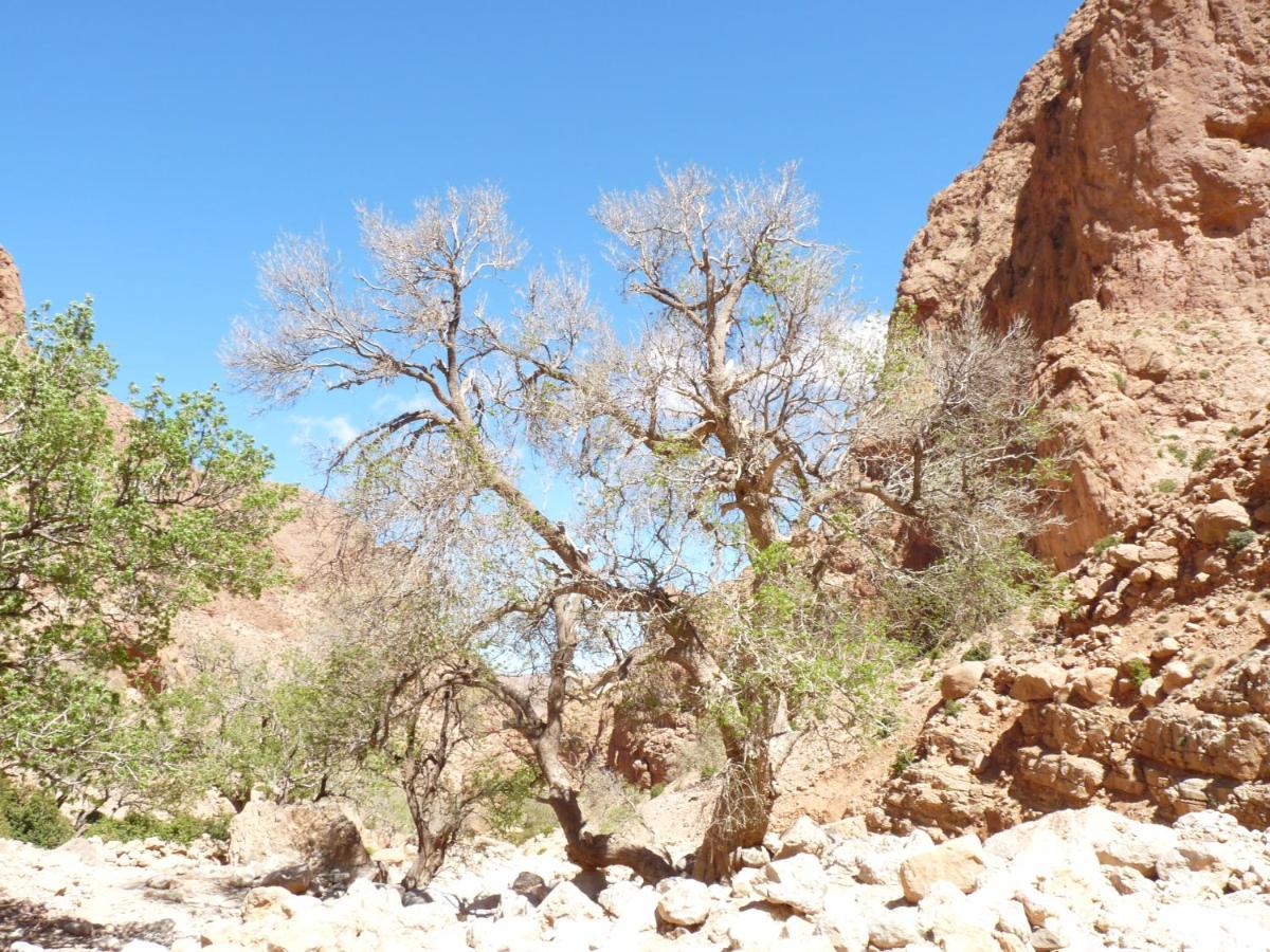 Отель Les Jardins De Todgha Gorges De Todra Tinghir Ait Baha Экстерьер фото